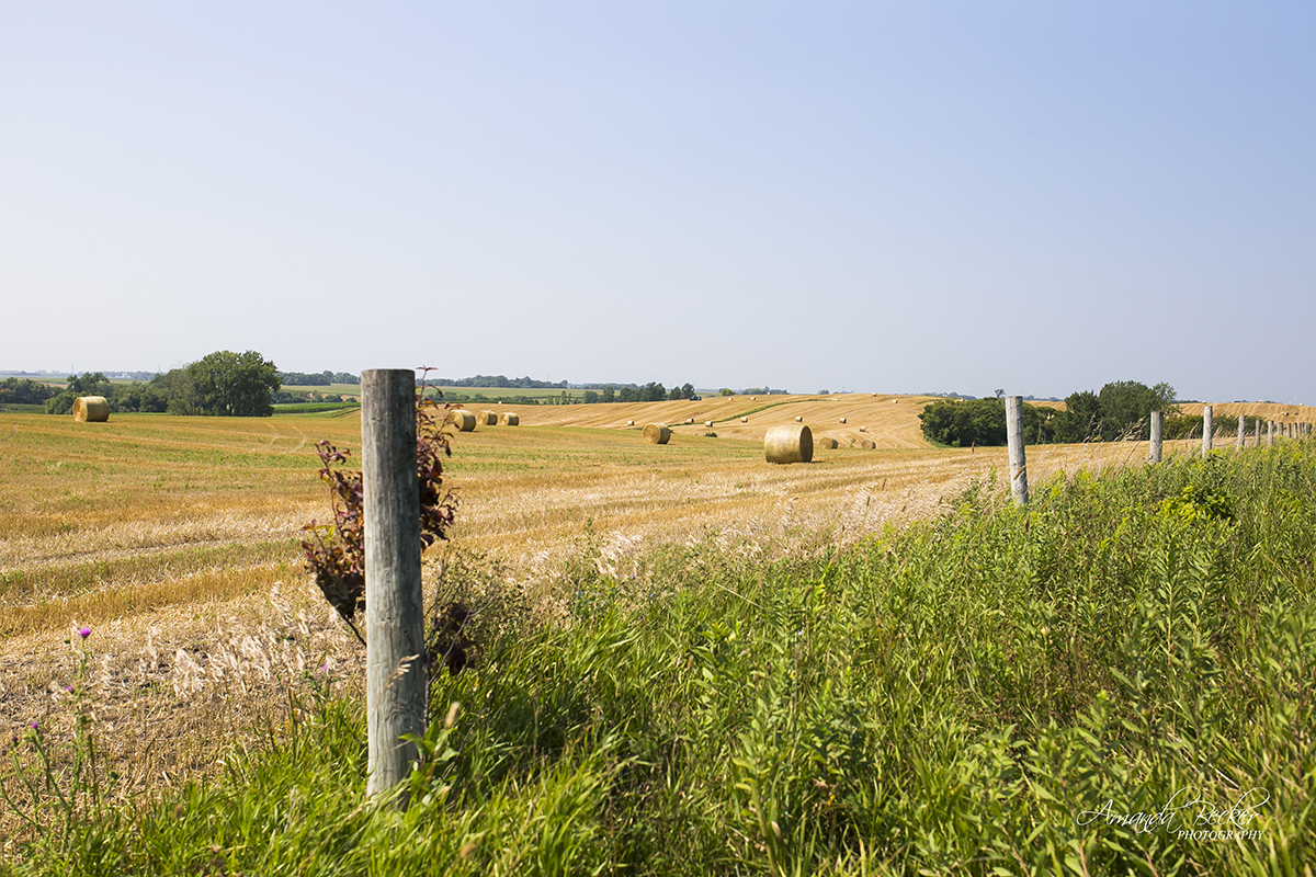 Straw bales