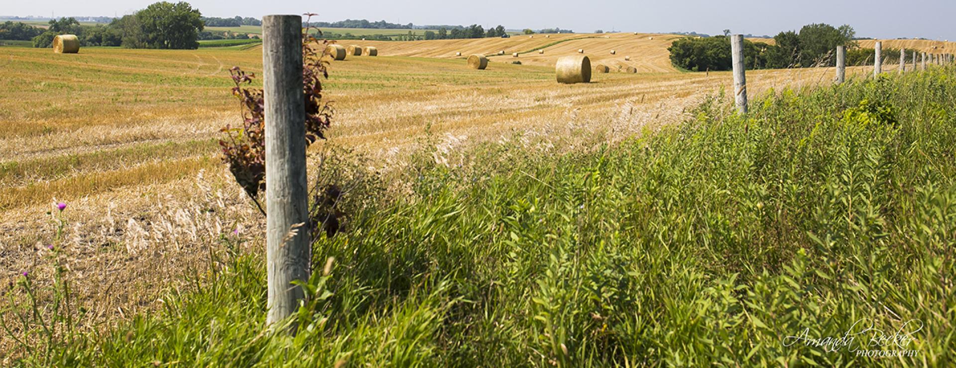 Straw bales